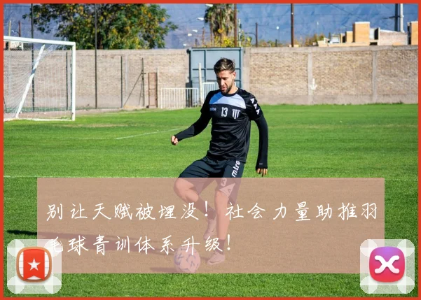 别让天赋被埋没！社会力量助推羽毛球青训体系升级！