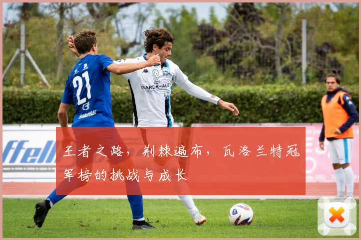 王者之路，荆棘遍布，瓦洛兰特冠军榜的挑战与成长