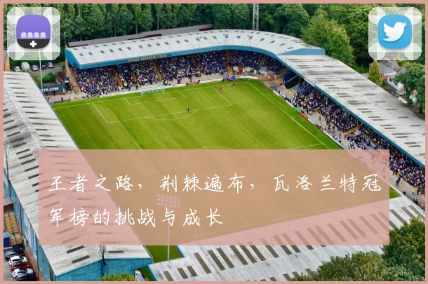 王者之路，荆棘遍布，瓦洛兰特冠军榜的挑战与成长