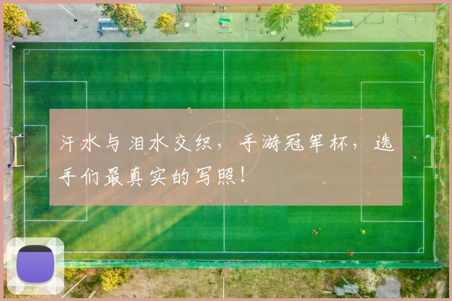 汗水与泪水交织，手游冠军杯，选手们最真实的写照！
